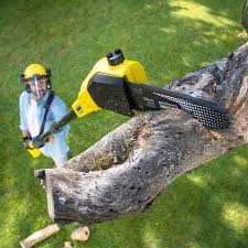 Best Leaf Removal  in Clanton, AL